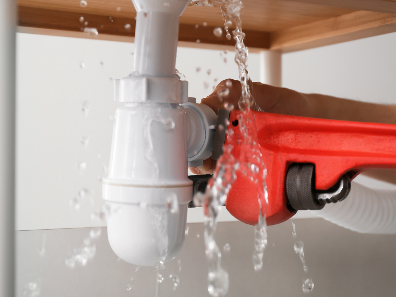 How to Keep Your Sewers Clear This Autumn