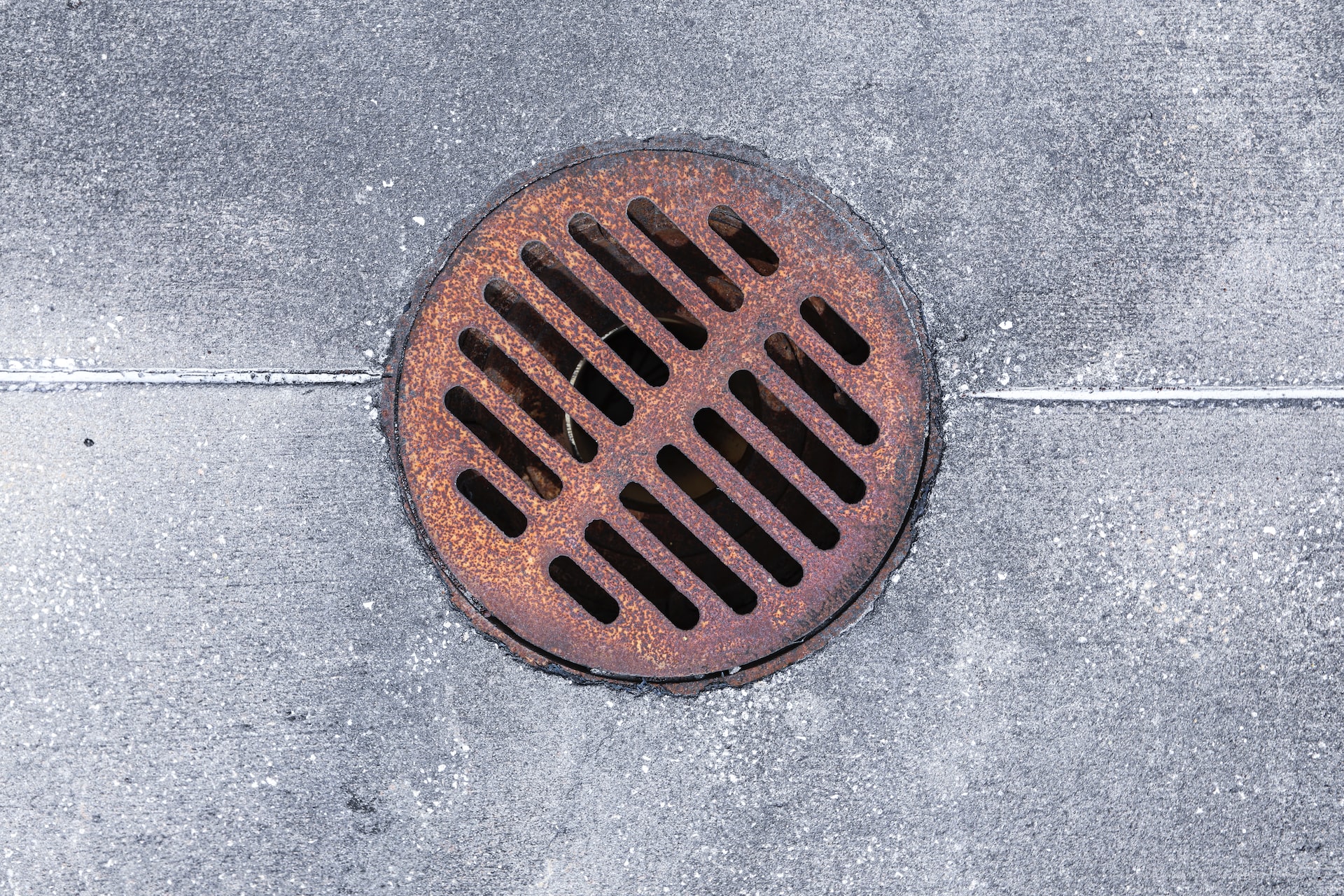 Common Causes of Sewer Line Clogs in Dongan Hill