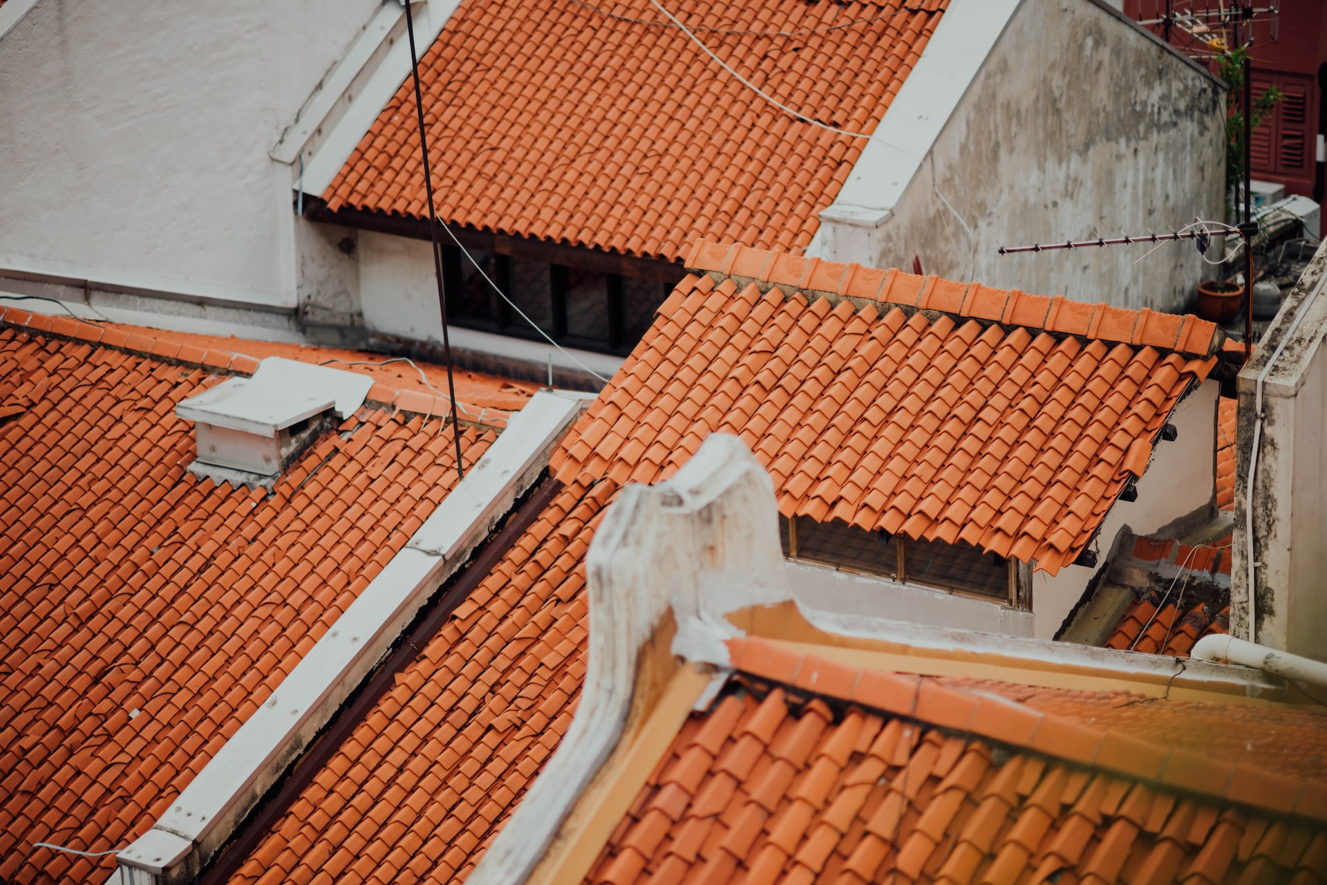 Maintenance and Care for Your New Tile Roof: Expert Tips and Tricks