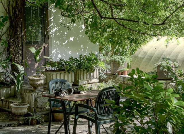 New Study Uncovers Hidden Benefits of Landscaping: You Won’t Believe #4!