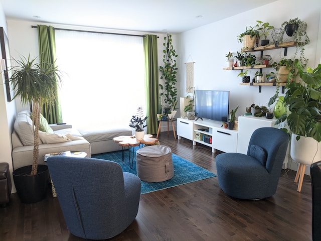 The Best 5 Plants for Your Apartment That Even You Can’t Kill